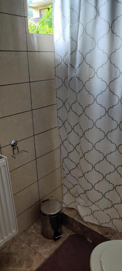 ホテル Casa Narcisa Băile Herculane エクステリア 写真